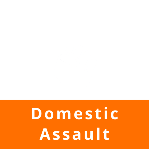 domestic assault
