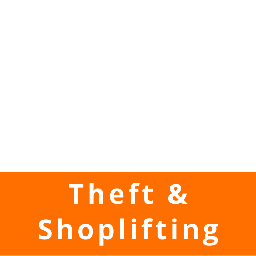 Theft / Shoplifting